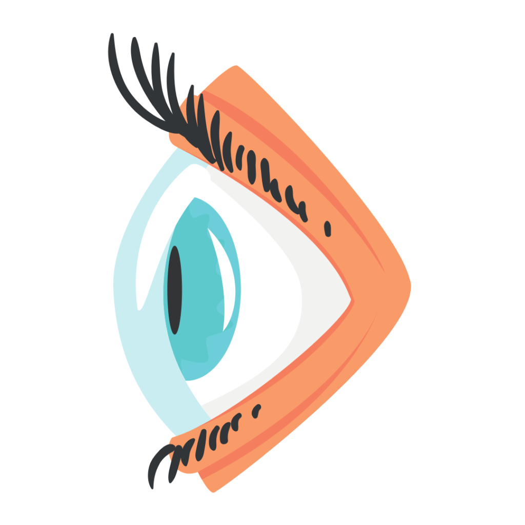 ilustração de olho com destaque para a córnea